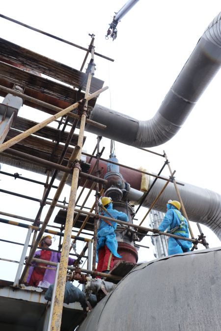 1684135656122738.jpeg